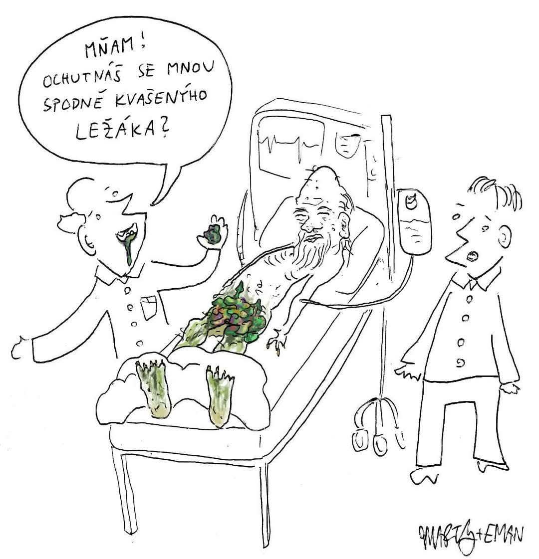 Obrázek spodne kvaseny lezak