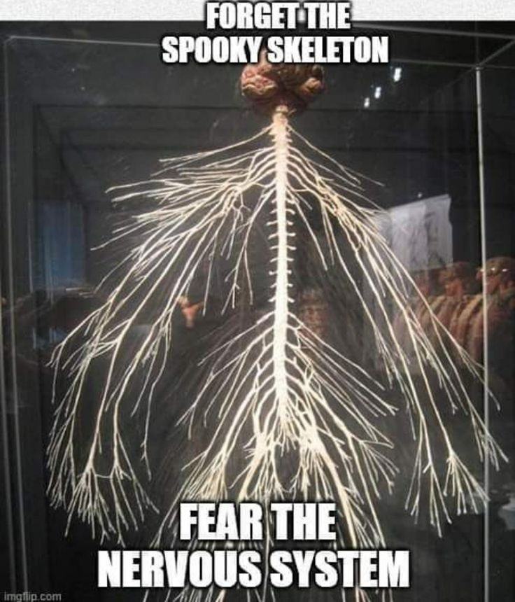 Obrázek spooky nerves
