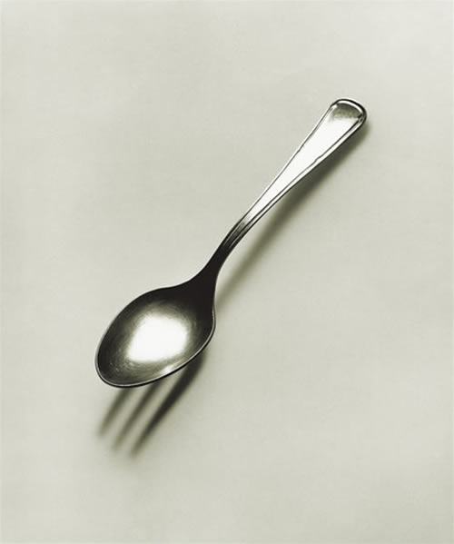 Obrázek spork