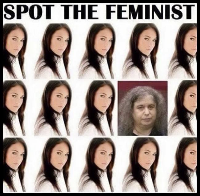 Obrázek spot the feminist 540
