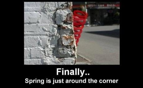 Obrázek spring is around