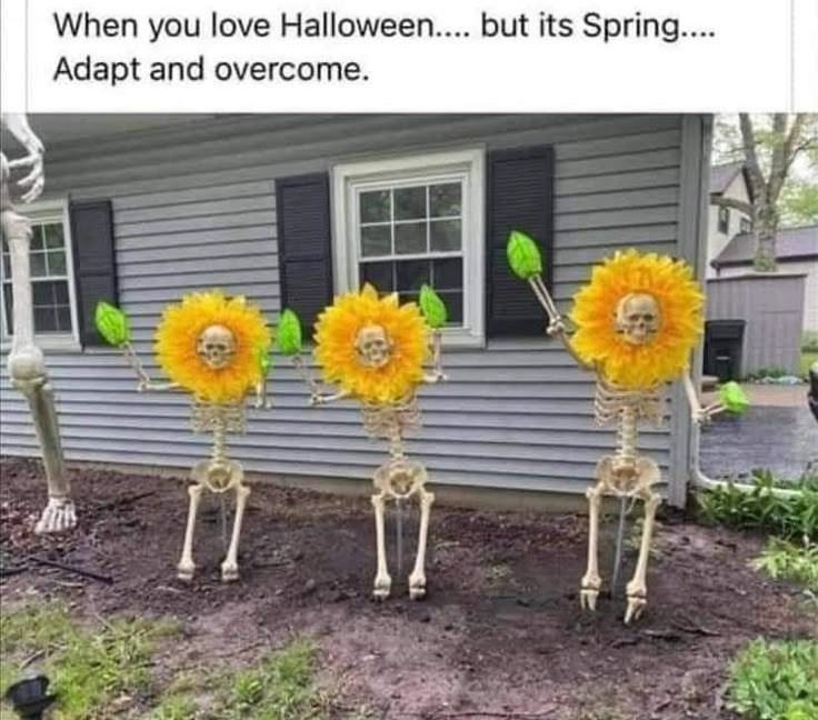 Obrázek springoween