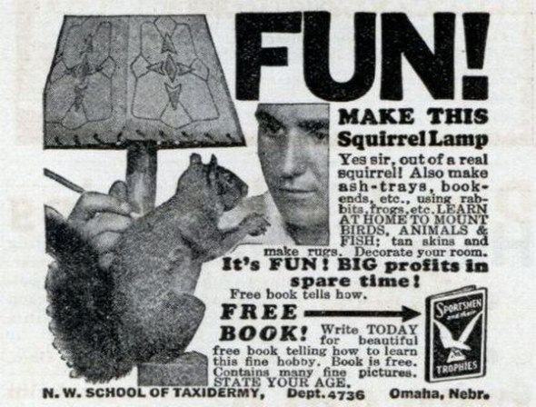 Obrázek squirrel lamp