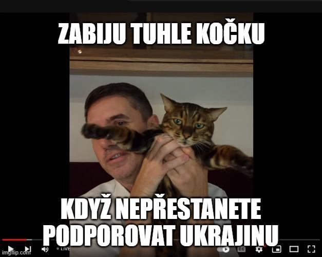 Obrázek srabel and cat