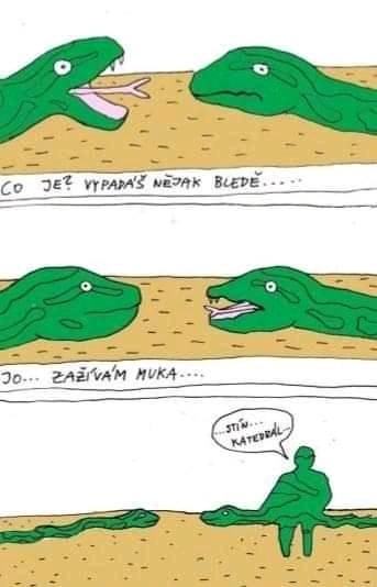 Obrázek ssssssssss