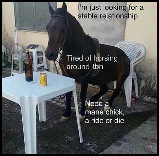 Obrázek stable-relationship&nbsp;&nbsp;&nbsp;