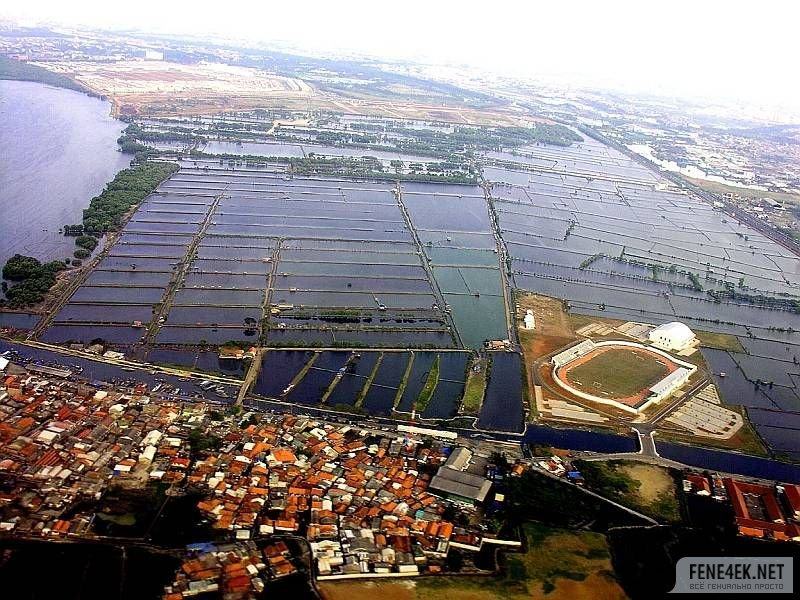 Obrázek stadion uprostred ryze