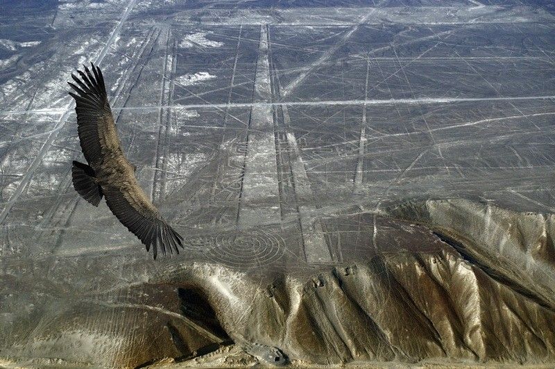 Obrázek stale zahadna Nasca