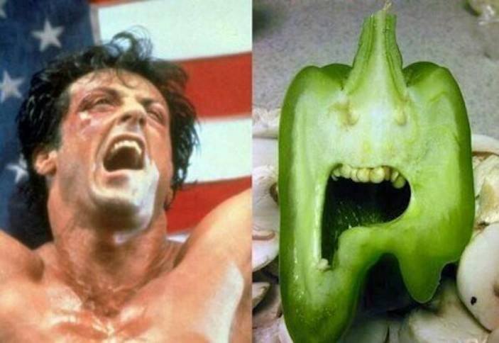Obrázek stallone paprika