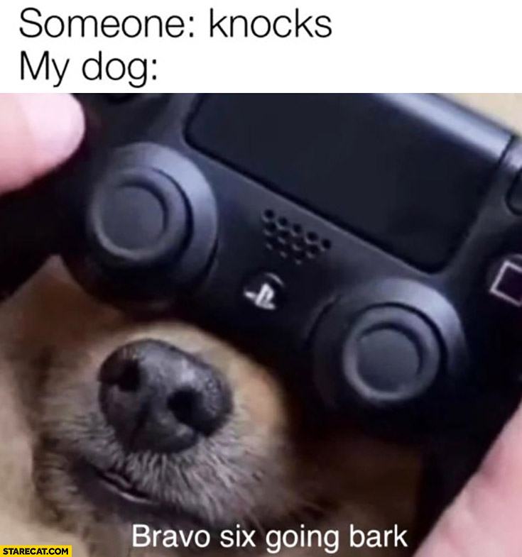 Obrázek stare someone-knocks-my-dog-bravo-six-going-bark-playstation-pad