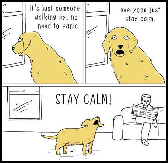 Obrázek stay-calm     