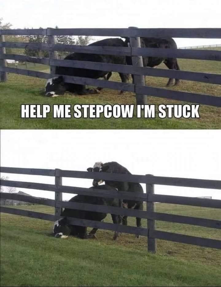 Obrázek stepcow