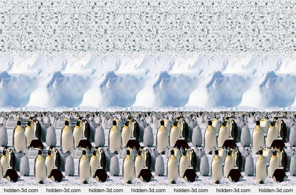 Obrázek stereogram - tucnaci nekonecno