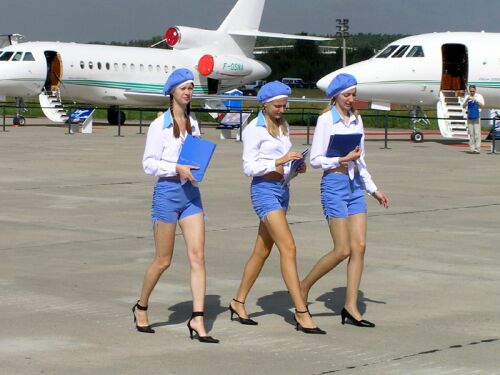 Obrázek stewardess