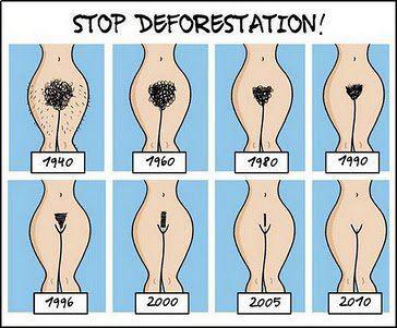 Obrázek stop deforestation