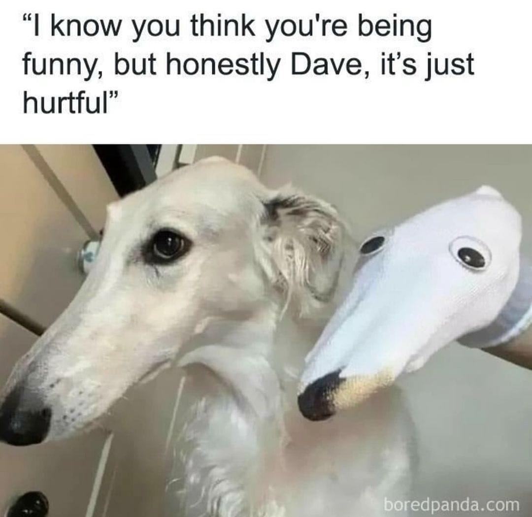 Obrázek stop it dave
