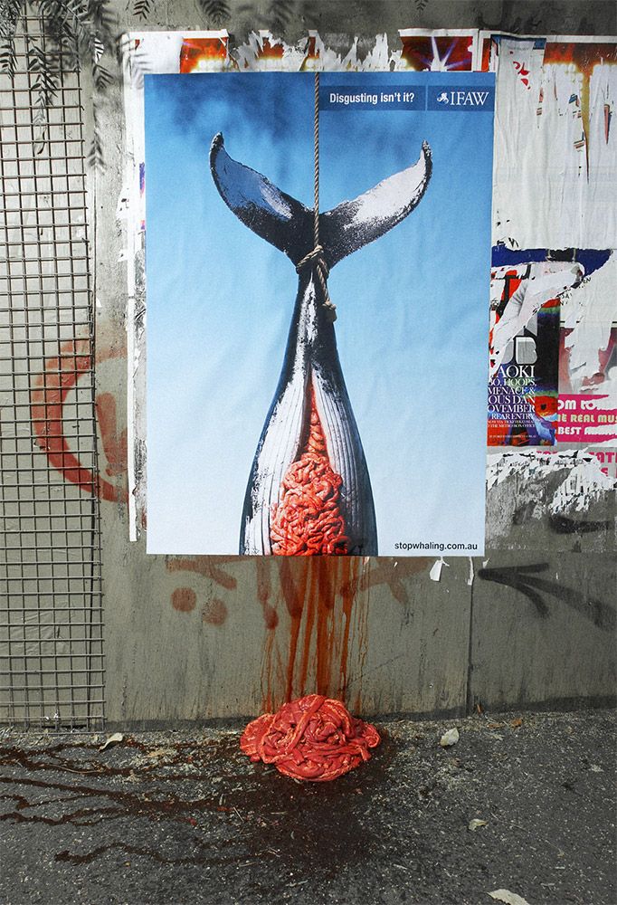 Obrázek stopwhaling