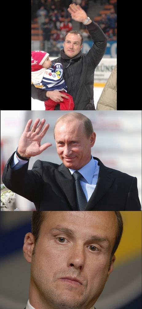 Obrázek straka putin