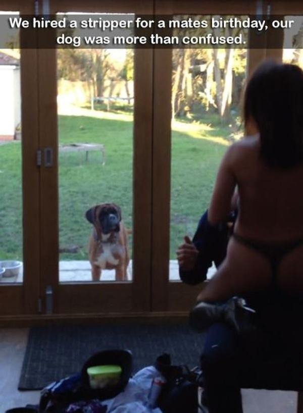 Obrázek stripper584