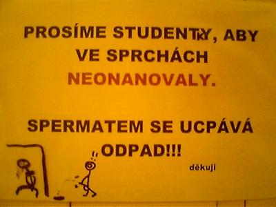 Obrázek studentky ve sprse