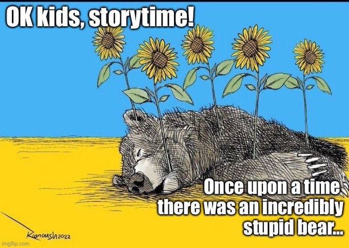 Obrázek stupid bear