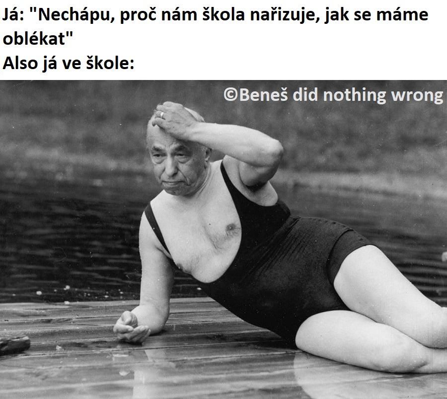 Obrázek stupid sexy Benes