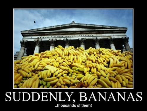 Obrázek suddenly-bananas