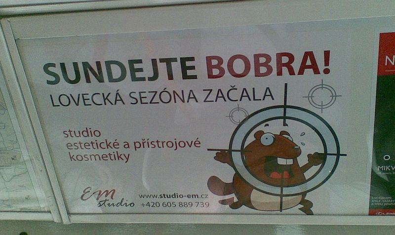 Obrázek sundej bobra brno salina