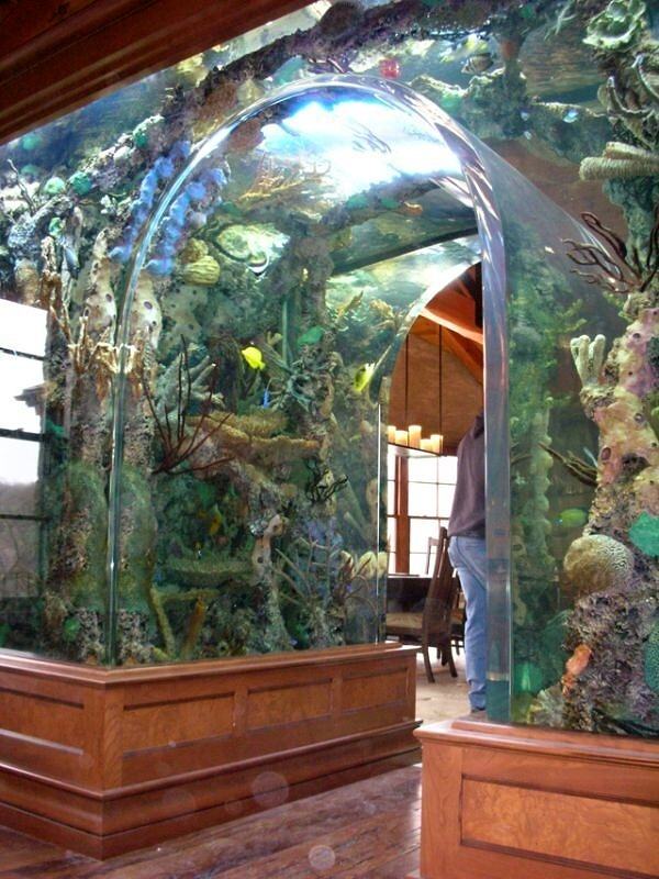 Obrázek super akvarium