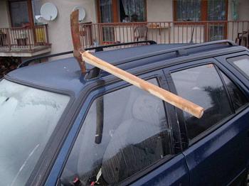 Obrázek supikovice krumpac