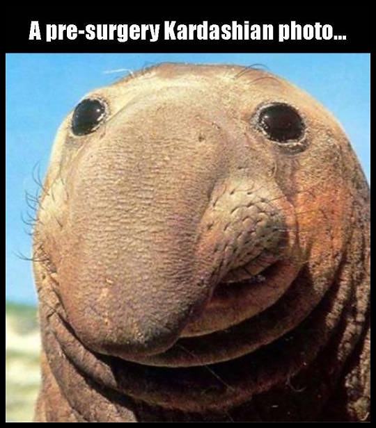 Obrázek surgery K-photo