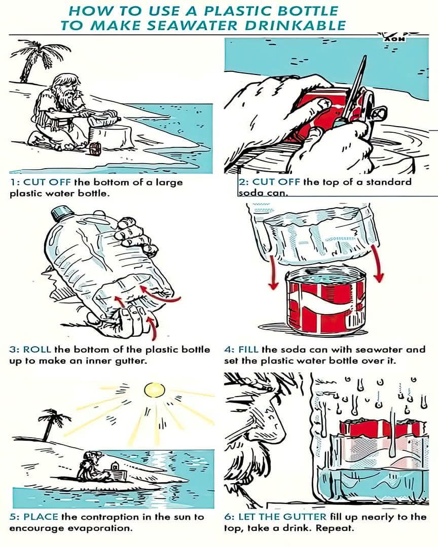 Obrázek surival tips1