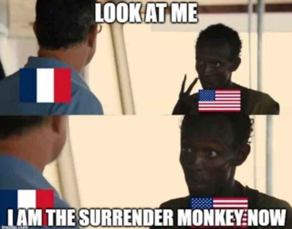 Obrázek surrender&nbsp;monkey