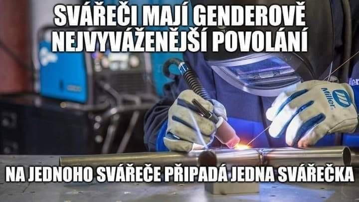 Obrázek svarecka vyvazena