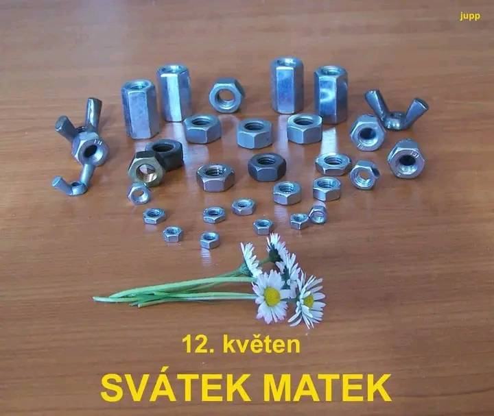 Obrázek svatekMatek
