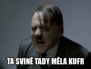 Obrázek svine s kufrem
