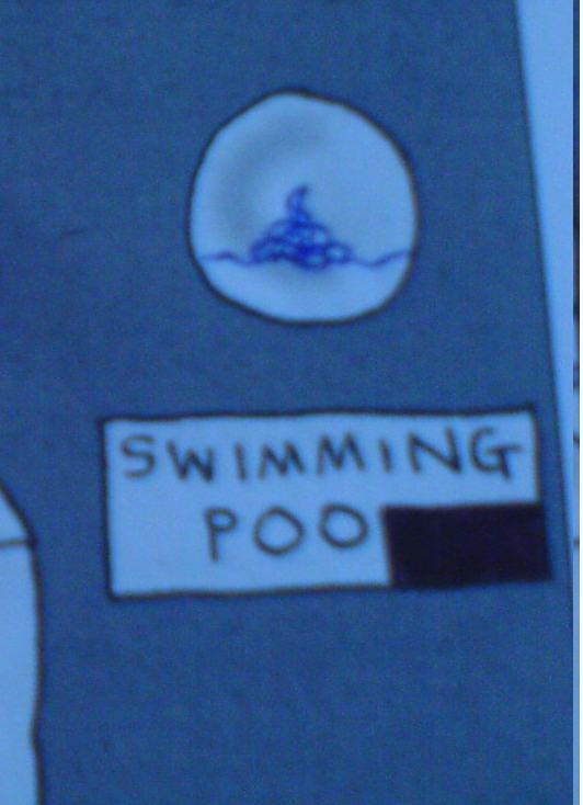 Obrázek swimming-poo
