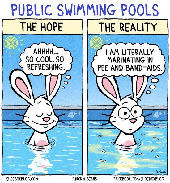 Obrázek swimming-pool-reality