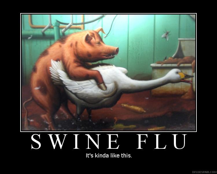 Obrázek swine flu