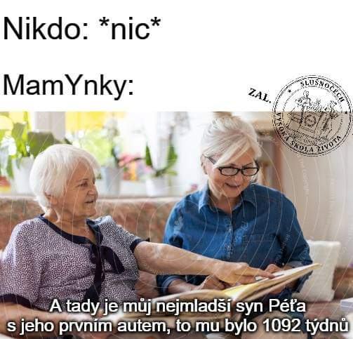 Obrázek synacek peta