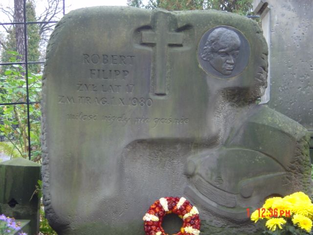 Obrázek syrenka1