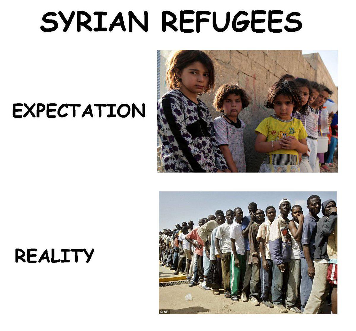 Obrázek syrian ref