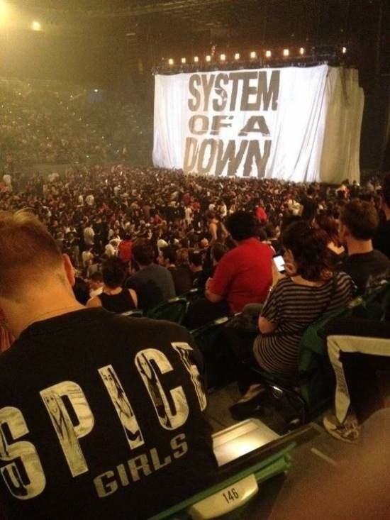 Obrázek system of down spice