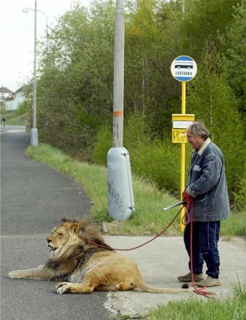 Obrázek tak a dneska jedu zadara