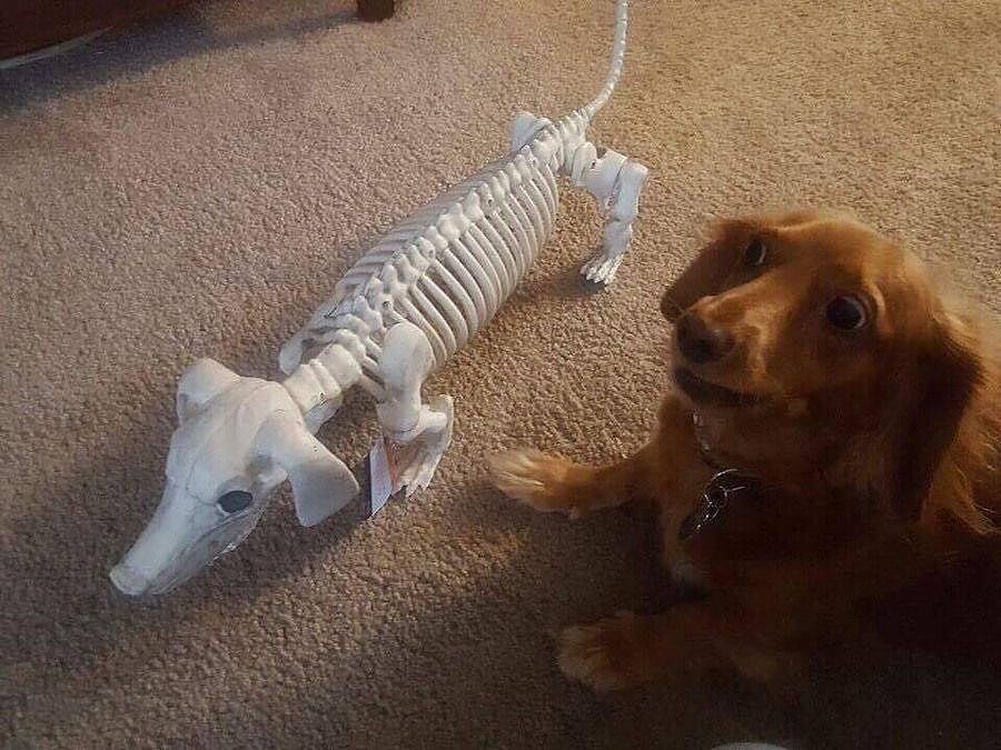 Obrázek takhle&nbsp;dopadnu&nbsp;&nbsp;