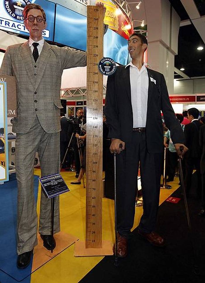 Obrázek tallest man in history