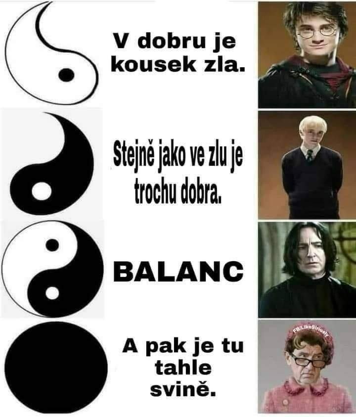 Obrázek tasvin