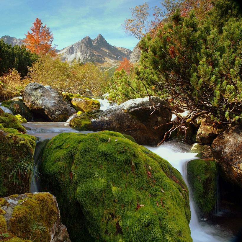 Obrázek tatry  282 29