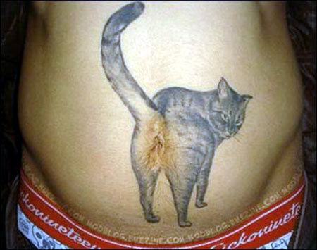 Obrázek tattoo-cat-belly-button314