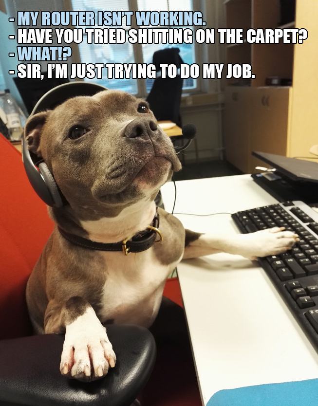 Obrázek tech-support-dog